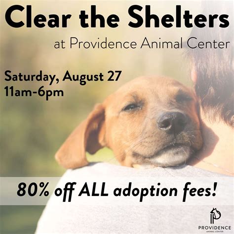 Providence animal shelter delaware county - The Tri-Town Animal Shelter is located on Smithfield Road in North Providence. The $2 million for the 5,000 square feet animal shelter came from a 2012 $60 million Google settlement .